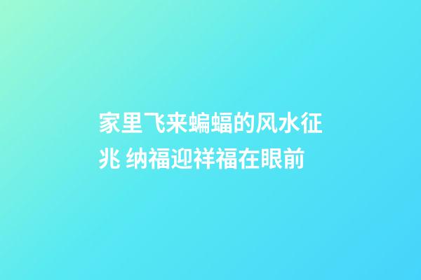 家里飞来蝙蝠的风水征兆 纳福迎祥福在眼前